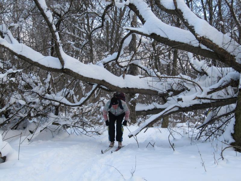 2011.01.30.На лыжах под Пслом.