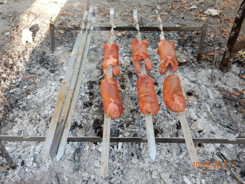 DSCN4371