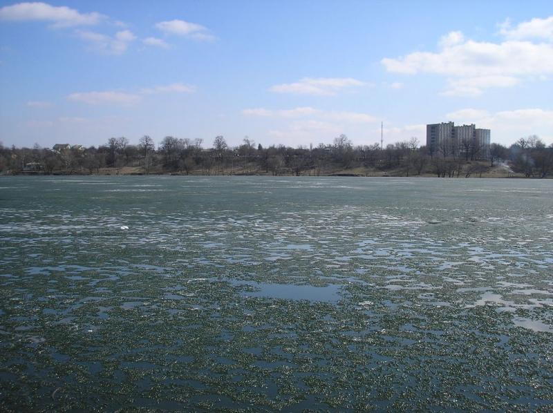 Хоть и не рыбное, но с водой