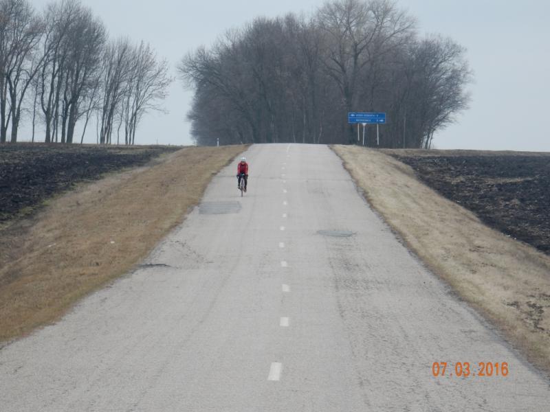 DSCN8411