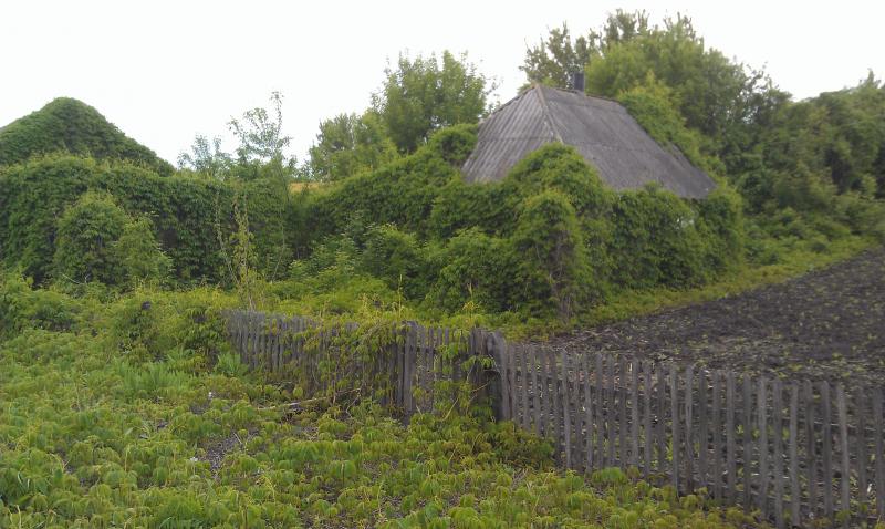 Весеняя Рыбыця