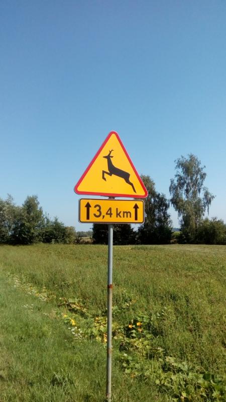 IMG 20170809 095105