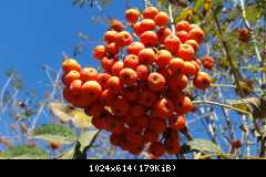 !Image00006