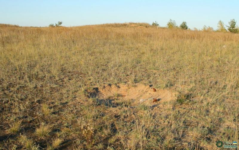 Воронка від граду