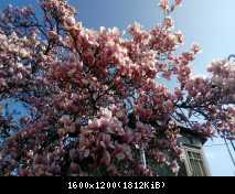IMG 20190407 095339