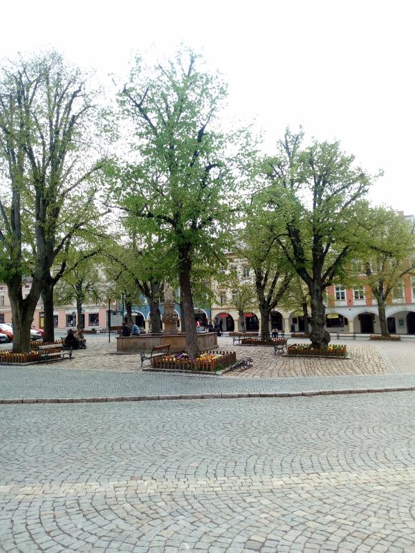 IMG 20190501 144826