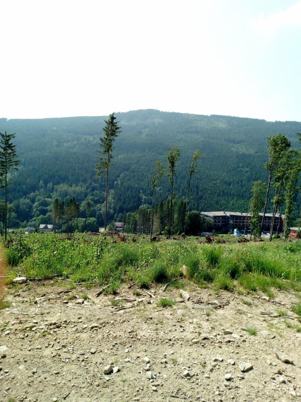IMG 20190612 155455