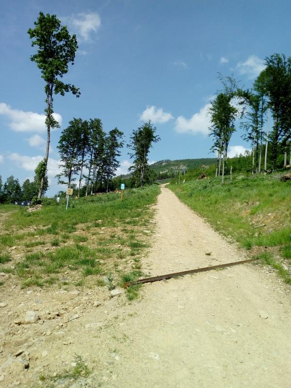 IMG 20190612 155503
