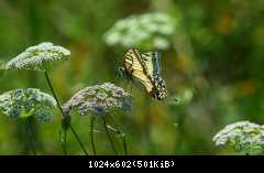 IMG 6725 2