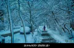 Голосіївський парк (7)