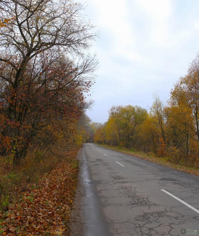 Вел Чернеччина