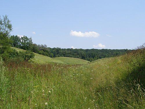 Сумы-Краснополье