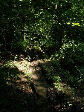 Сумы-Краснополье