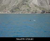 IMG 6796