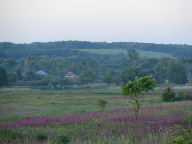 DSC06538