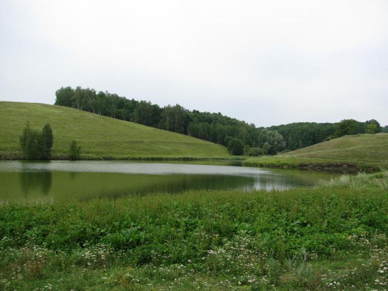 IMG 2384