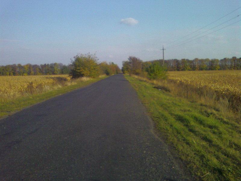 дорога мечты