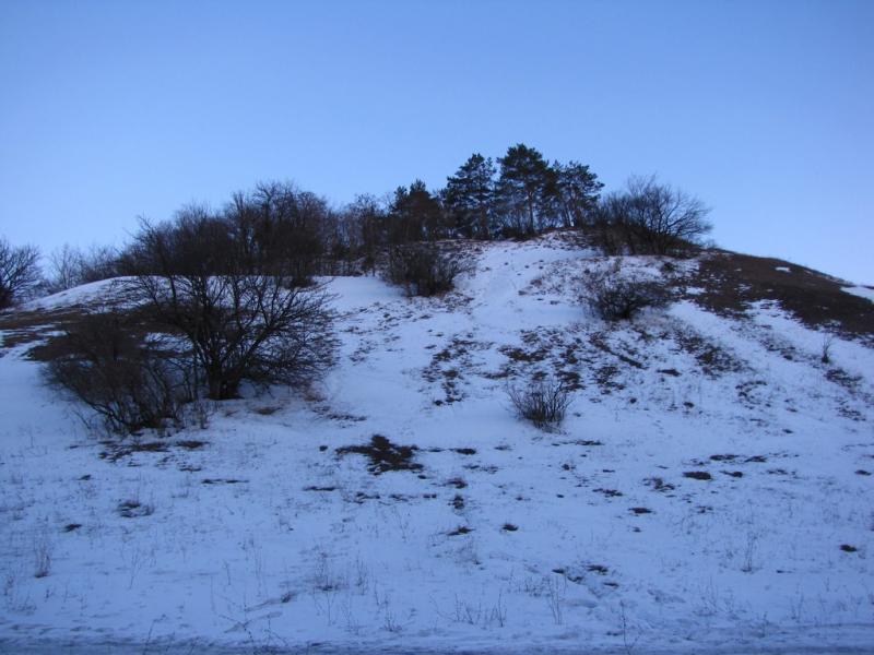 IMG 0470