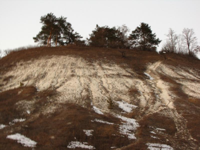 IMG 0477