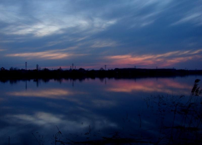 DSC05450
