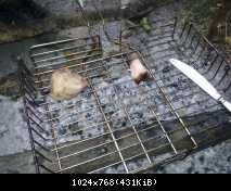 "Image 9"