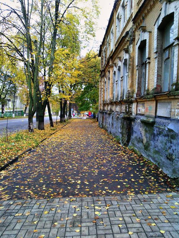 IMG 20161008 125100-п (Copy)