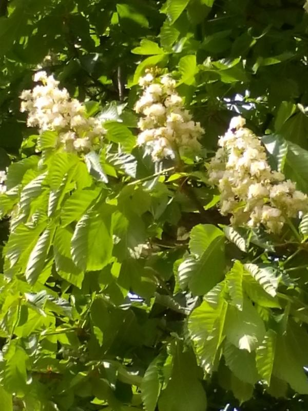 IMG 20180503 144103