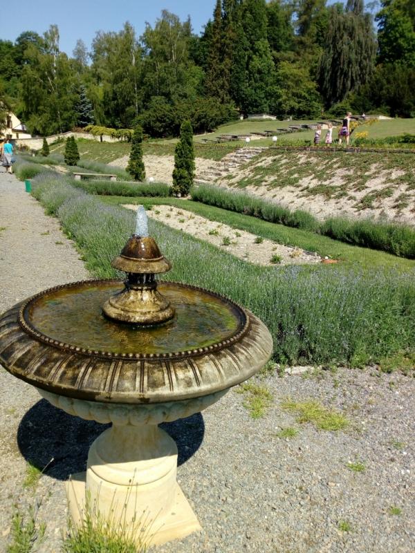IMG 20180526 104529