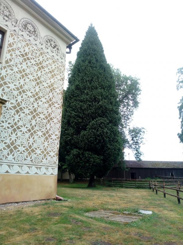 IMG 20180609 165913