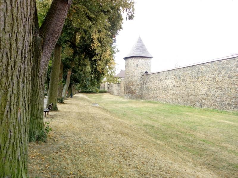 IMG 20180821 112953