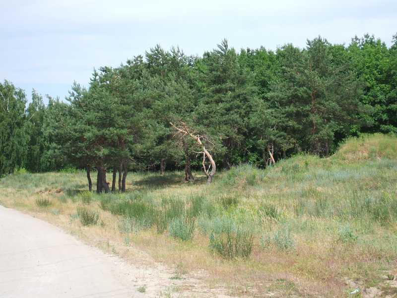 DSCF5026