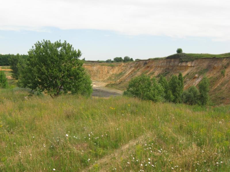 IMG 0823 1