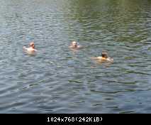 IMG 0822