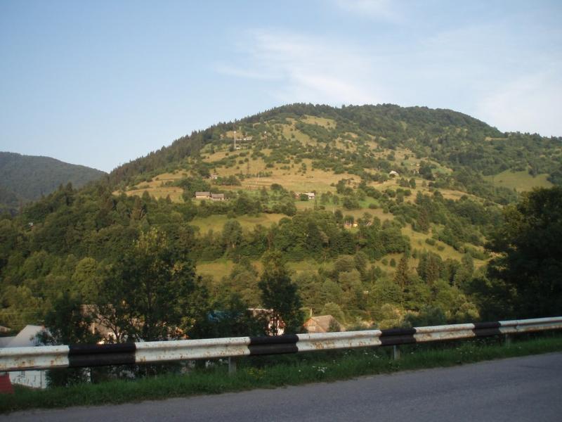 P7195739