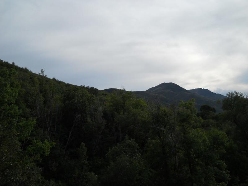 DSCN0768