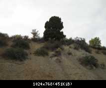 DSCN0786