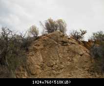 DSCN0788