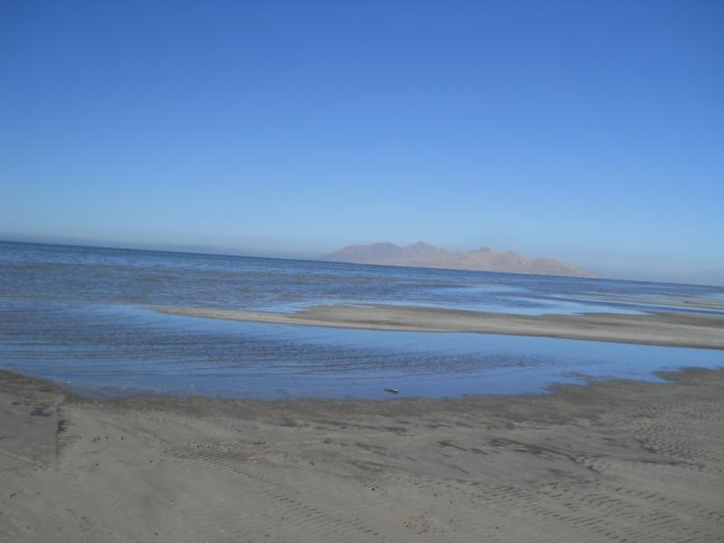 DSCN0939