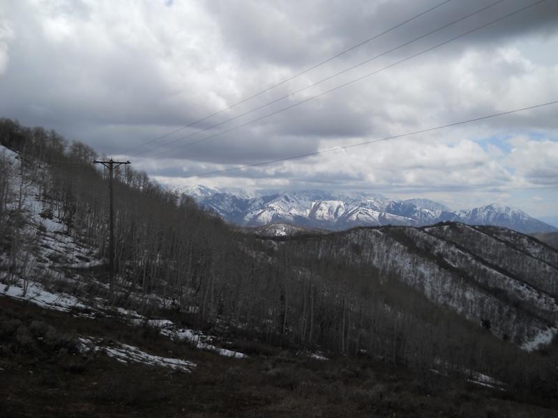 DSCN1788