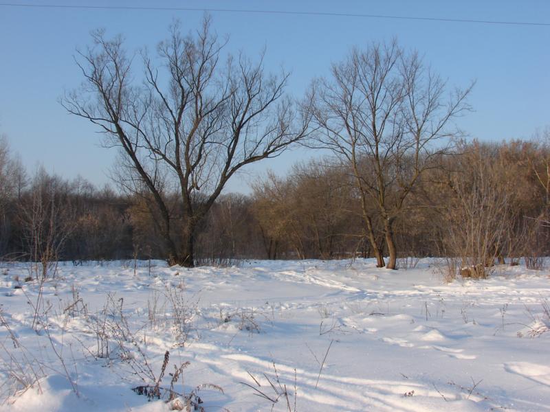 DSC05201