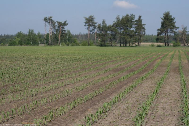 2012 год - Сумы-Лебедин-Шаровка-Ахтырка-Краснополье-Сумы