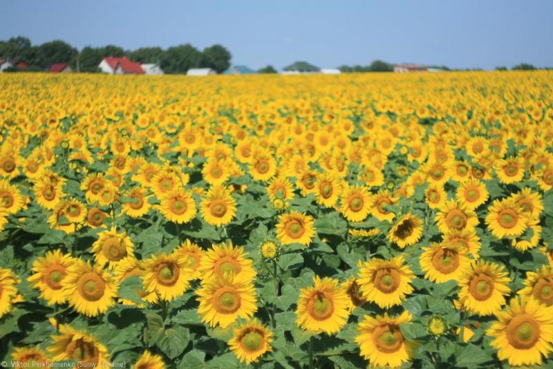 велопоездка 2012 года - Сумы-Белгород-Острогожск-Борисоглебск-Воронеж-Курск-Сумы