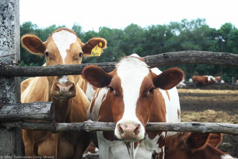 велопоездка 2012 года - Сумы-Белгород-Острогожск-Борисоглебск-Воронеж-Курск-Сумы