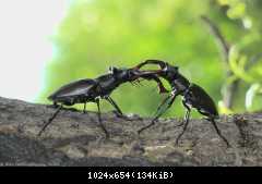 велопоездка 2012 года - Сумы-Белгород-Острогожск-Борисоглебск-Воронеж-Курск-Сумы