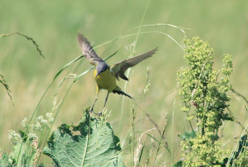 велопоездка 2012 года - Сумы-Белгород-Острогожск-Борисоглебск-Воронеж-Курск-Сумы