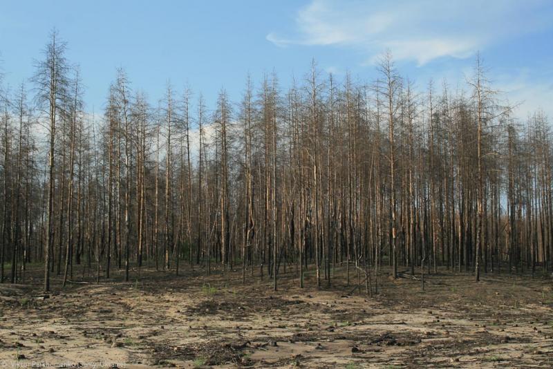 велопоездка 2012 года - Сумы-Белгород-Острогожск-Борисоглебск-Воронеж-Курск-Сумы