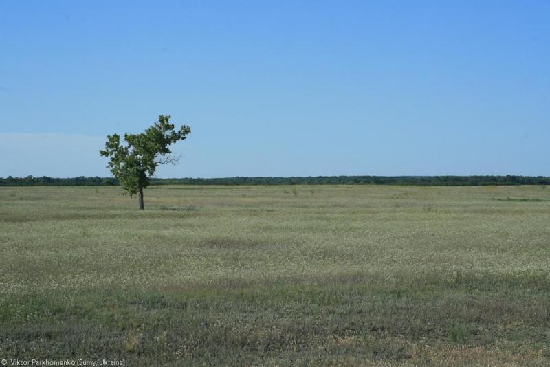 велопоездка 2012 года - Сумы-Белгород-Острогожск-Борисоглебск-Воронеж-Курск-Сумы