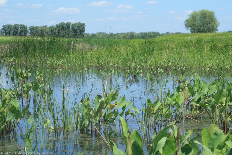 велопоездка 2012 года - Сумы-Белгород-Острогожск-Борисоглебск-Воронеж-Курск-Сумы