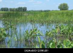 велопоездка 2012 года - Сумы-Белгород-Острогожск-Борисоглебск-Воронеж-Курск-Сумы