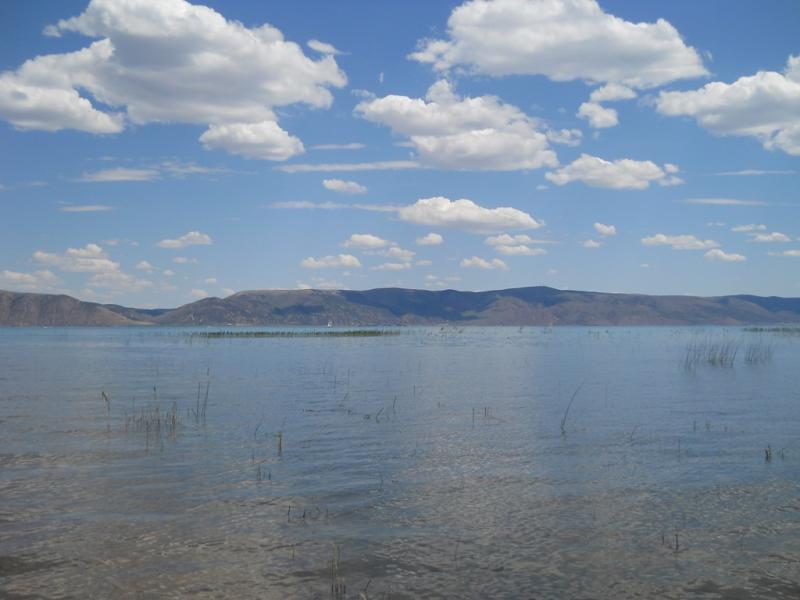 DSCN1954